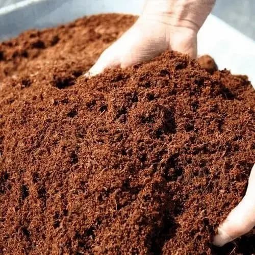 Coco-peet Kg pack