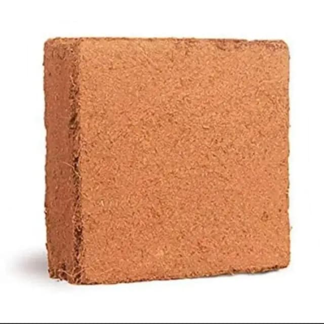 Coco Block 5kg