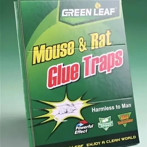 Mouse/Rat glue Trap