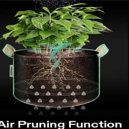 Grow Bag 15 Gallon
