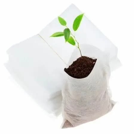 Biodegradable Tissue Bags