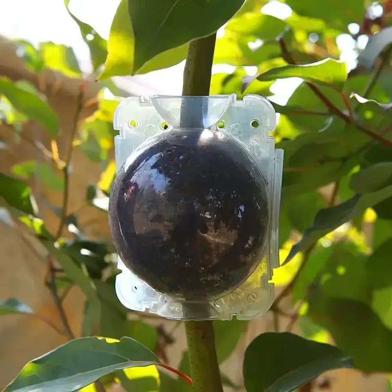 Air lairing Transparent