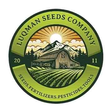 Store Logo