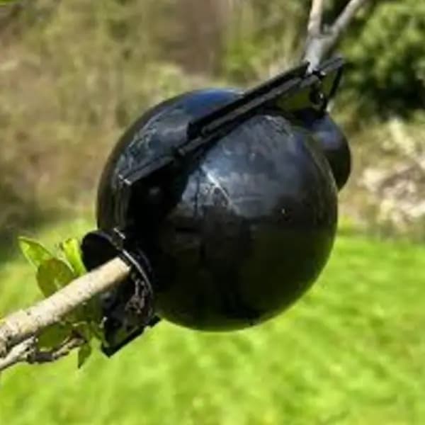 Air Lairing Black